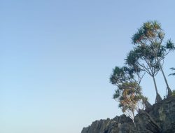 Pantai Batu Hiu Tawarkan Keindahan Alam Yang Indah Dan Menakjubkan