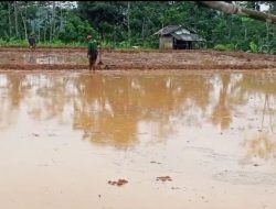 Petani Penggarap Sawah Tadah Hujan di Pangandaran Diharapkan Segera Garap Lahan