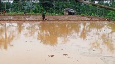Petani Penggarap Sawah Tadah Hujan di Pangandaran Diharapkan Segera Garap Lahan