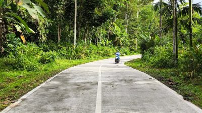 Jalan Alternatif Pangandaran-Tasikmalaya Via Cikasungka