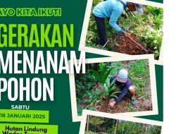 Masyarakat dan Siswa Sekolah Dasar Tanam 1000 Pohon Pinang