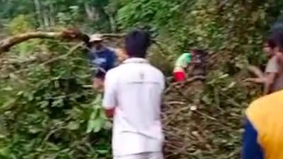 Pohon Tumbang Menutupi Jalan Raya Pangleseran-Langkalancar