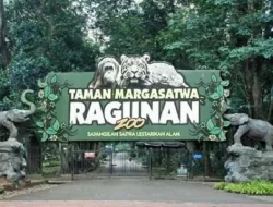 Kebun Binatang Ragunan: Destinasi Edukasi dan Konservasi Satwa di Jakarta