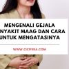 Cara Efektif Mencegah Maag Agar Tidak Kambuh: Dari Pola Makan, Gaya Hidup hingga Posisi Tidur