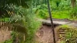 Hujan Deras, Jalan Raya Cibatu – Gunung Kelir Longsor