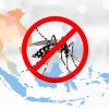 Peringati Hari DBD Asean RSUD Pandega Pangandaran Ajak Masyarakat Bersatu Dalam Pencegahan